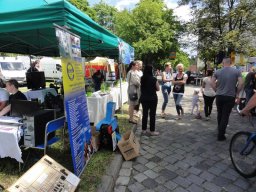 Wiosna nad Nysą 2017